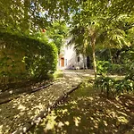 Mini Pini Bird Watching And Cenote Loft
