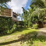 Mini Pini Bird Watching And Cenote Loft