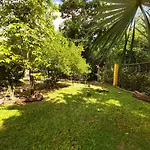 Mini Pini Bird Watching And Cenote Loft