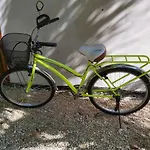 Mini Pini Bird Watching And Cenote Loft