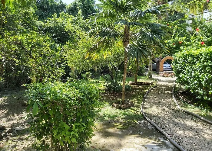 Mini Pini Bird Watching And Cenote Loft