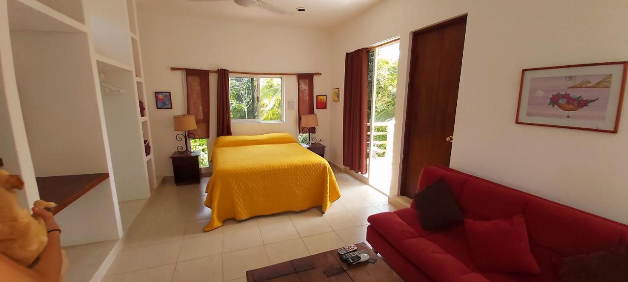 Mini Pini Bird Watching And Cenote Loft * Cozumel