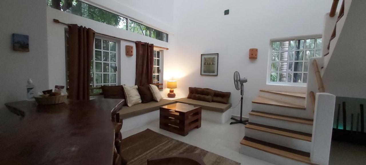 Mini Pini Bird Watching And Cenote Loft Cozumel