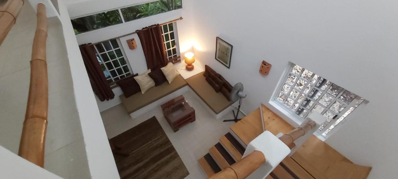 Mini Pini Bird Watching And Cenote Loft Villa Cozumel