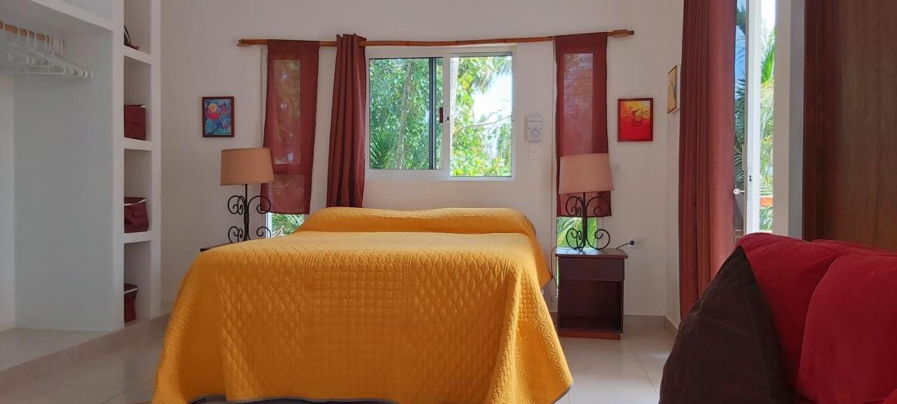 Mini Pini Bird Watching And Cenote Loft Villa Cozumel