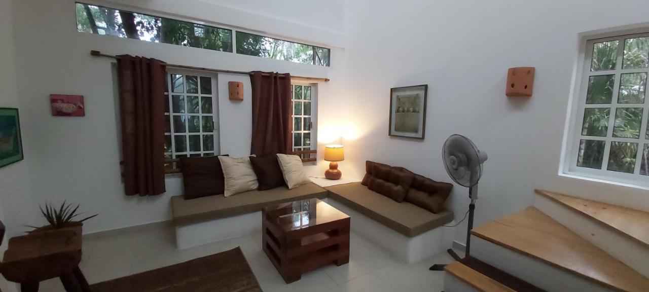 Mini Pini Bird Watching And Cenote Loft * Cozumel