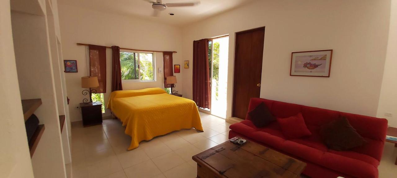 Mini Pini Bird Watching And Cenote Loft * Cozumel