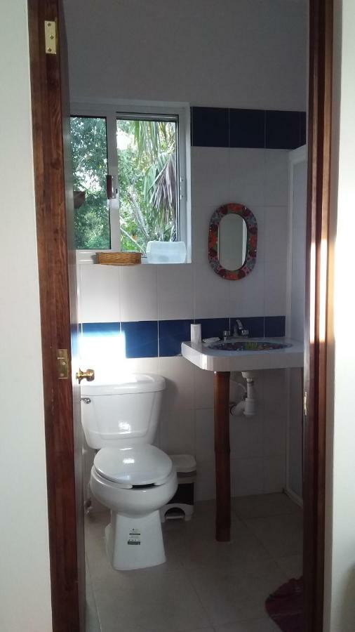 Villa Mini Pini Bird Watching And Cenote Loft Cozumel