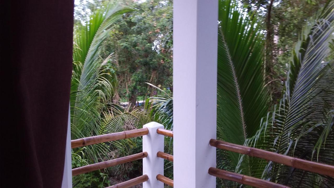 Villa Mini Pini Bird Watching And Cenote Loft *