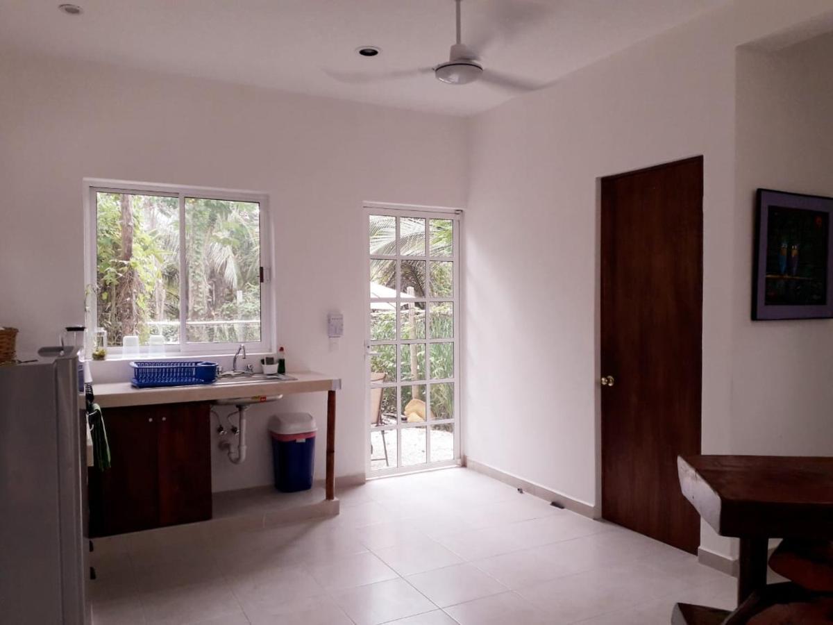Mini Pini Bird Watching And Cenote Loft