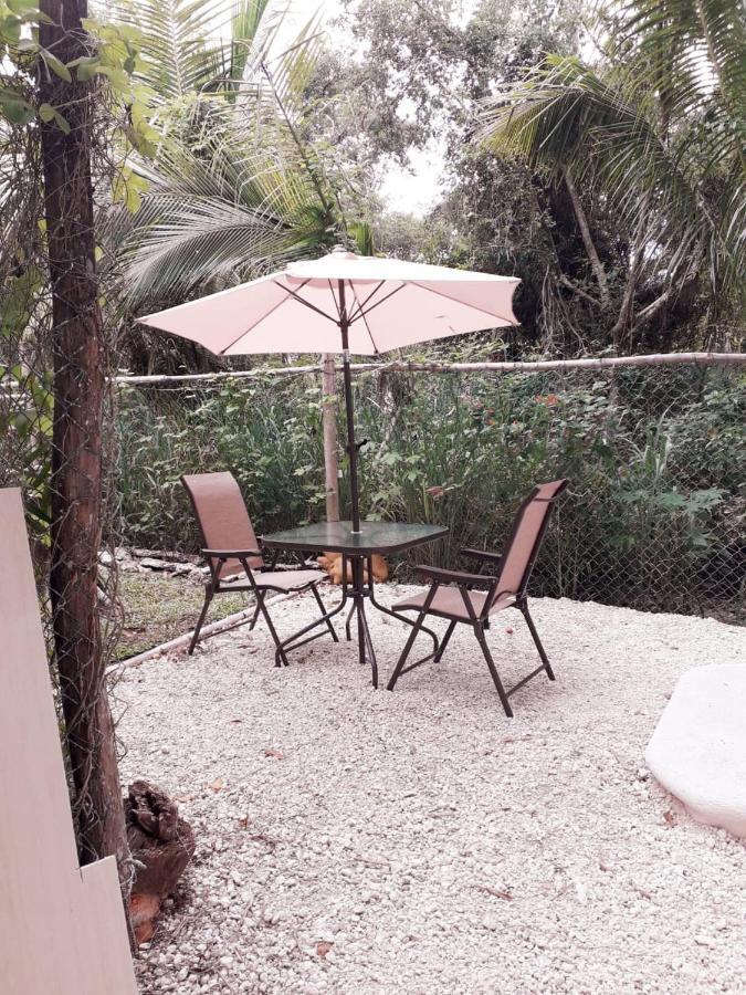 Mini Pini Bird Watching And Cenote Loft *