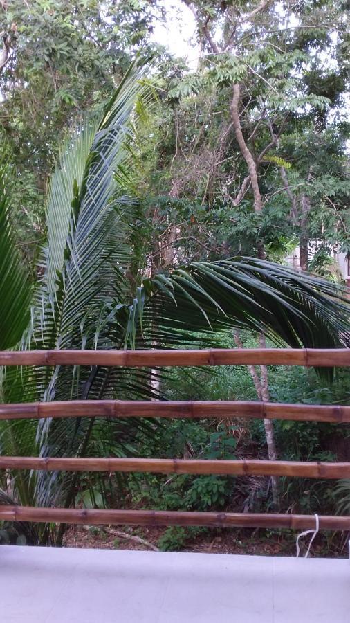 Mini Pini Bird Watching And Cenote Loft Cozumel