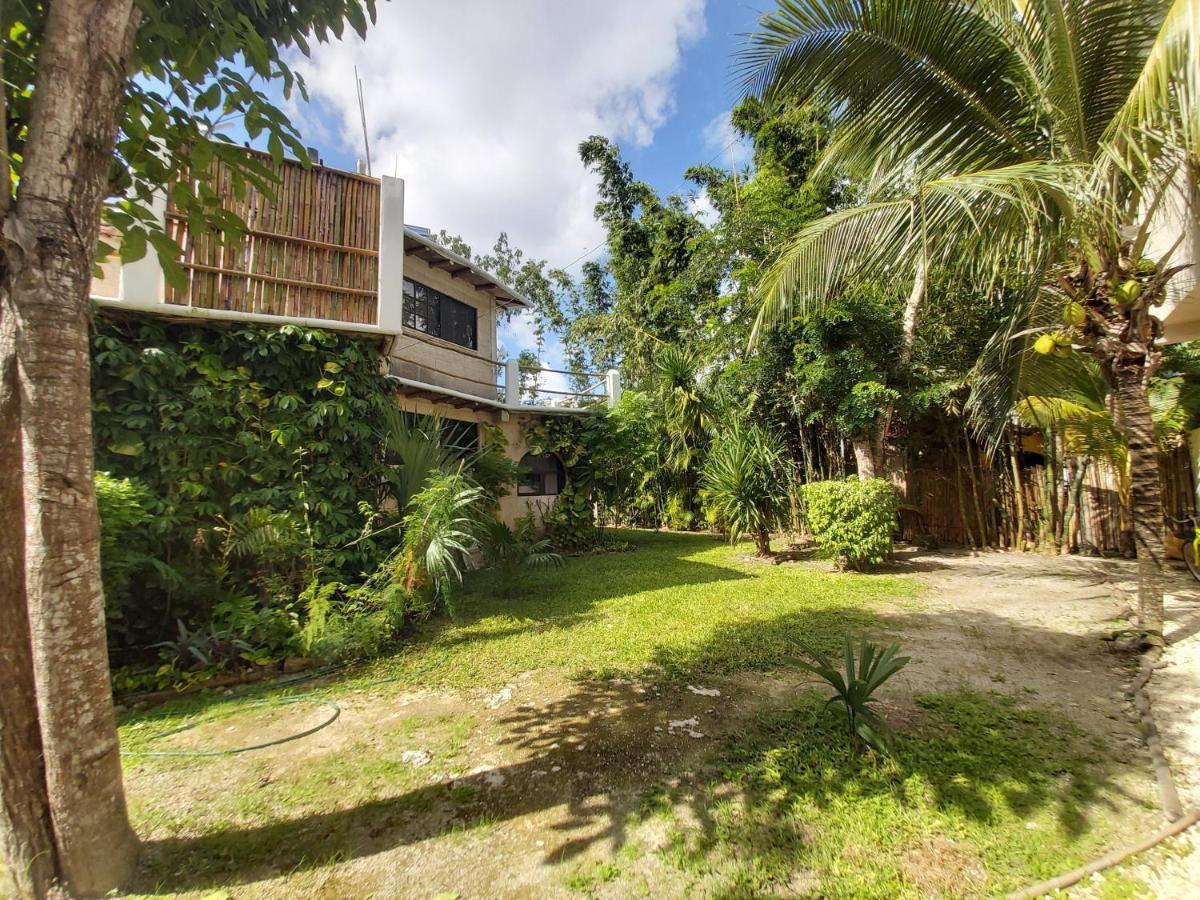Mini Pini Bird Watching And Cenote Loft Villa Cozumel
