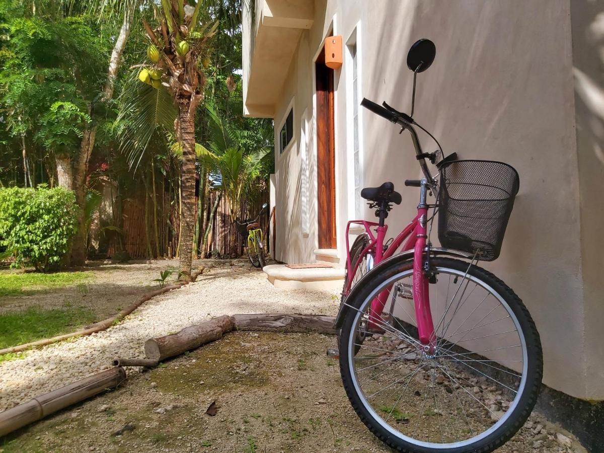 Mini Pini Bird Watching And Cenote Loft Villa *