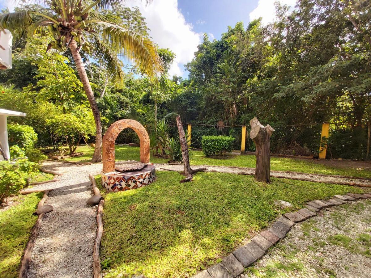Mini Pini Bird Watching And Cenote Loft
