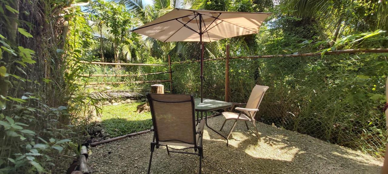 Mini Pini Bird Watching And Cenote Loft Villa