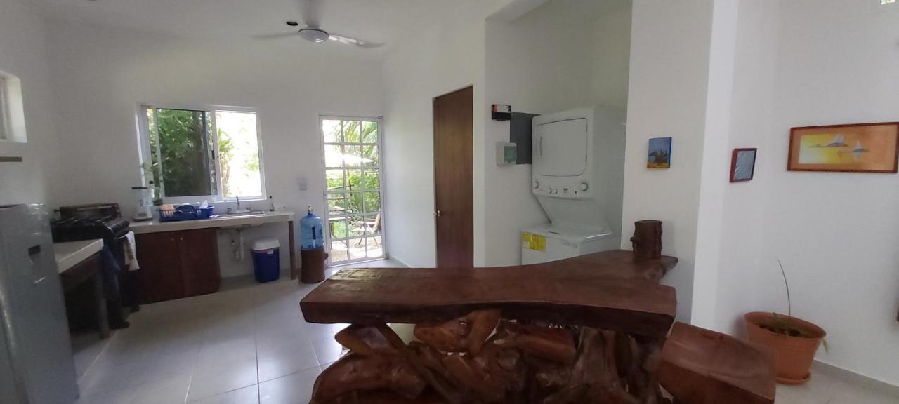 Mini Pini Bird Watching And Cenote Loft Villa Cozumel