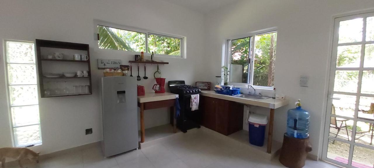 Mini Pini Bird Watching And Cenote Loft Cozumel