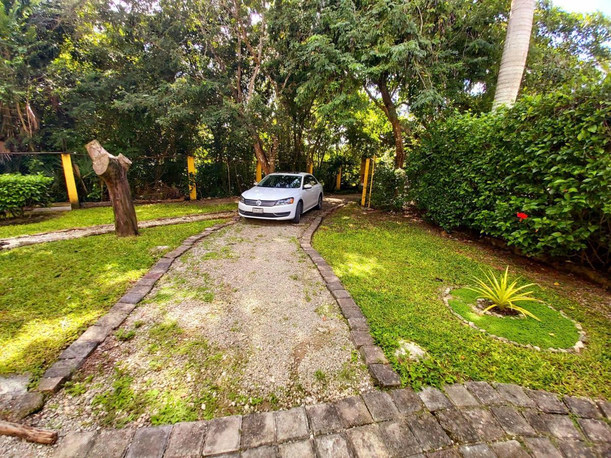 Mini Pini Bird Watching And Cenote Loft Villa *