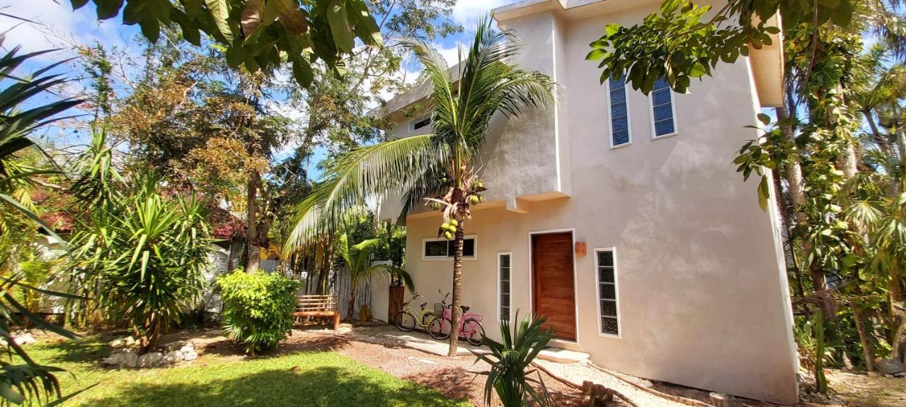 Mini Pini Bird Watching And Cenote Loft Villa *