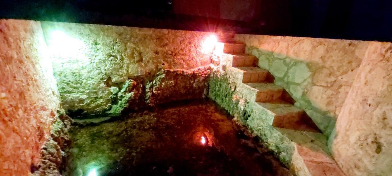 Mini Pini Bird Watching And Cenote Loft Villa