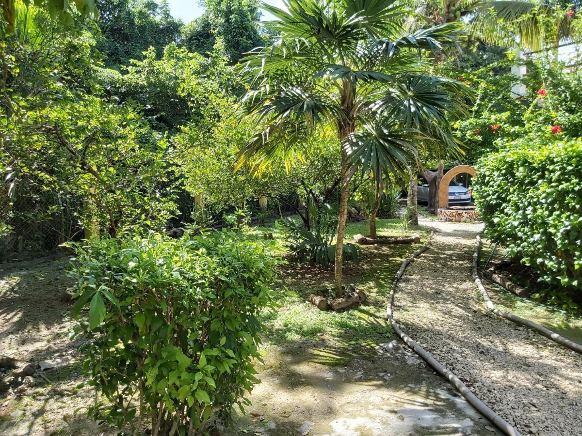 Mini Pini Bird Watching And Cenote Loft * Cozumel