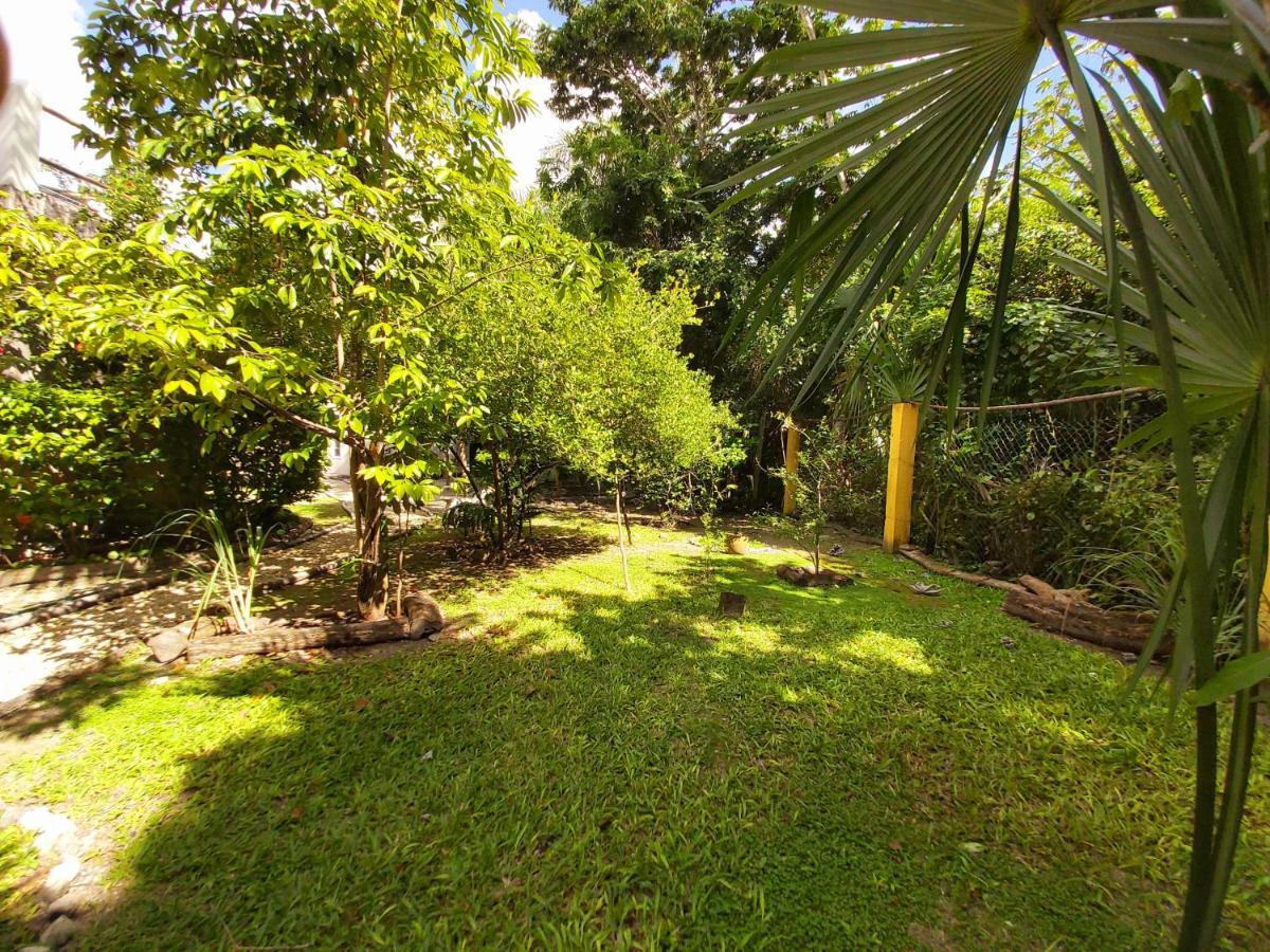 Mini Pini Bird Watching And Cenote Loft *