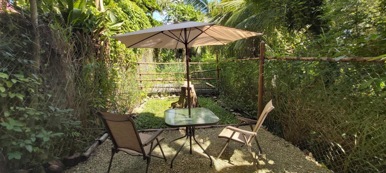 Mini Pini Bird Watching And Cenote Loft Villa