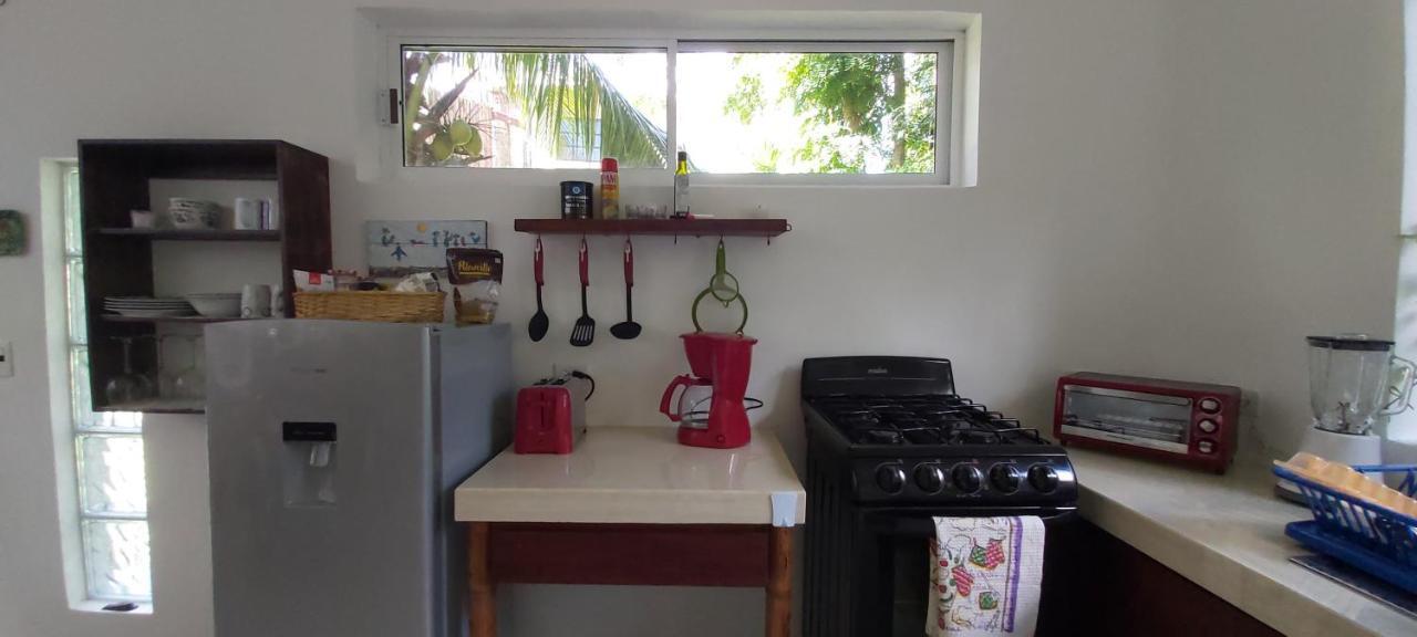 Mini Pini Bird Watching And Cenote Loft Cozumel
